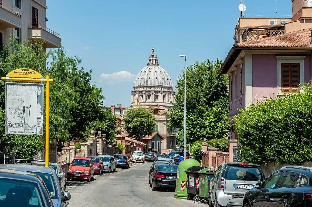 Vaticancity location